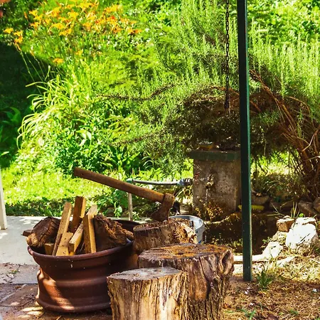 Marina Na Obali Dunava Nestin