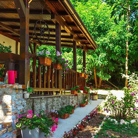 Marina Na Obali Dunava *