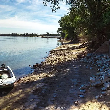 Marina Na Obali Dunava Nestin