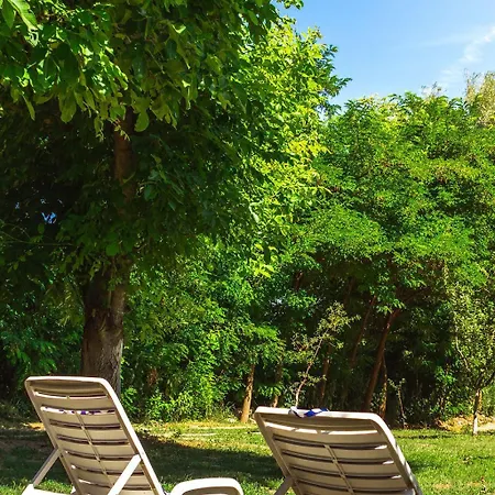 Marina Na Obali Dunava *