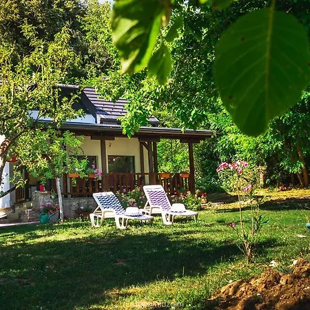 Marina Na Obali Dunava Hébergement de vacances