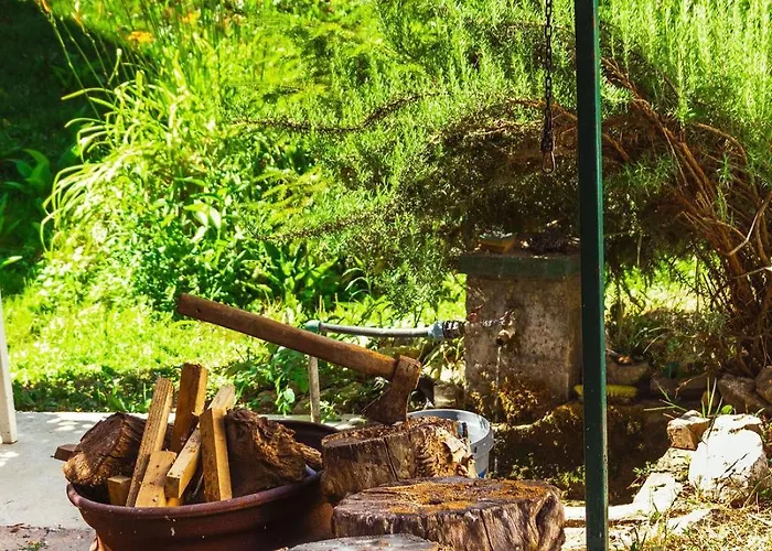 Marina Na Obali Dunava Nestin