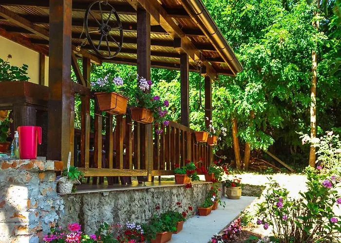 Marina Na Obali Dunava *