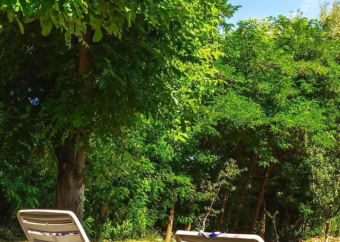 Marina Na Obali Dunava *