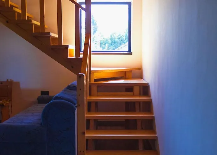 Marina Na Obali Dunava